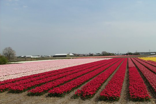 Tour image 6