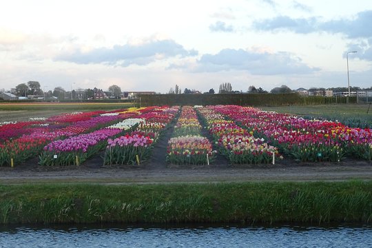 Tour image 4