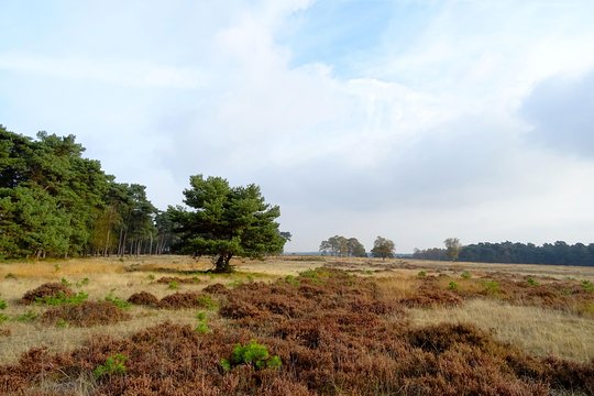 Tour image 6