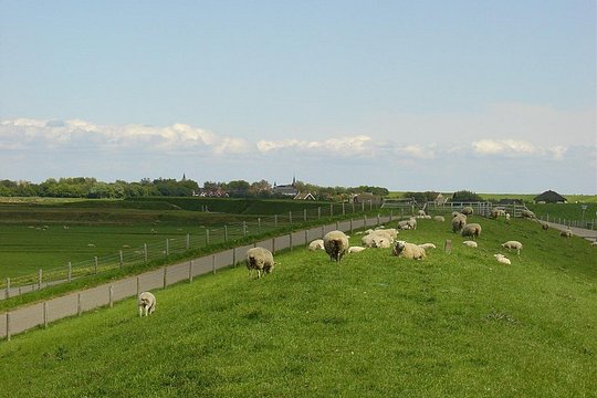 Tour image 8